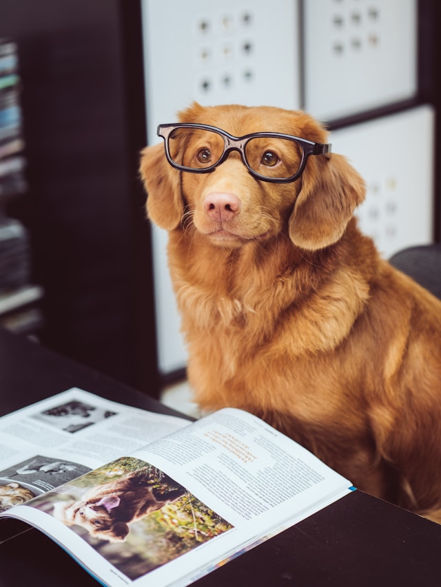 leggiamo un libro al mese